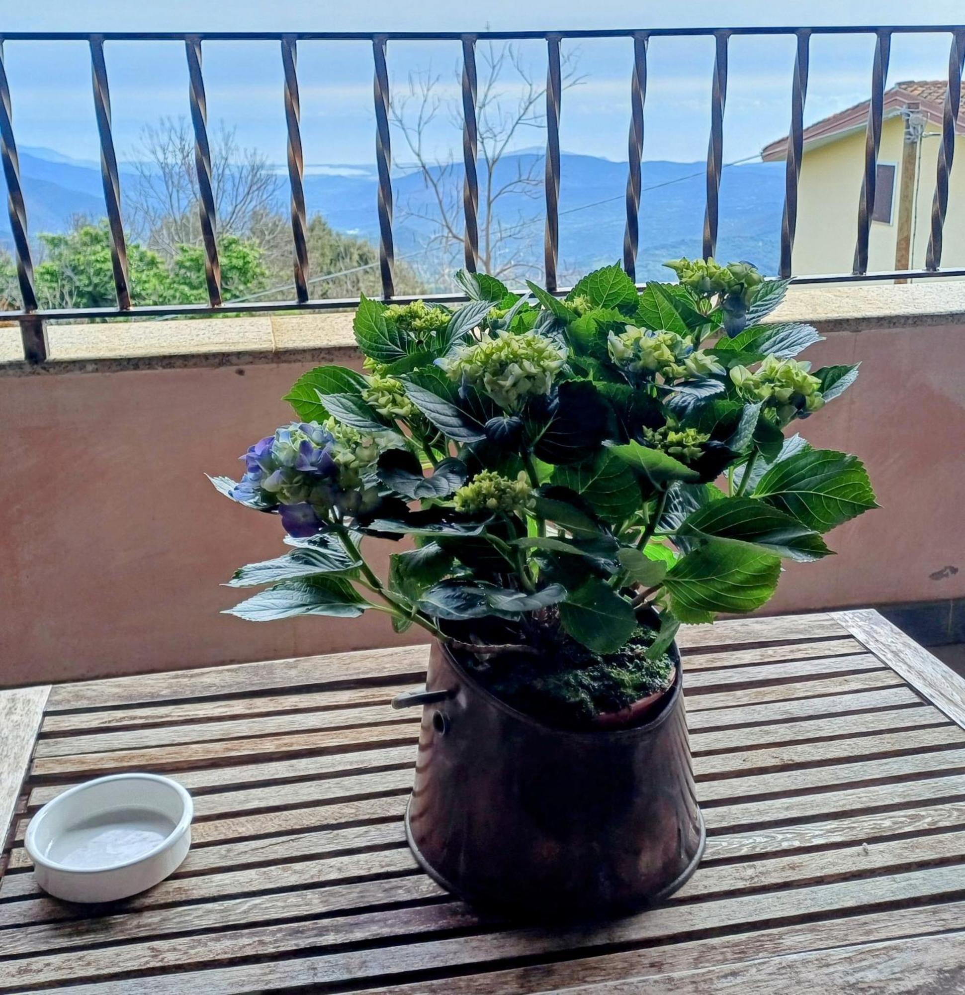 Bed and Breakfast Monti E Mare Lanusei Exterior foto